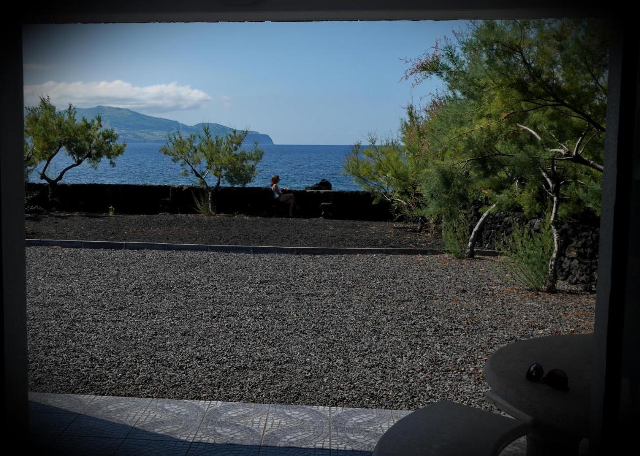 Casa Caminho Da Barca Villa Madalena  Eksteriør bilde
