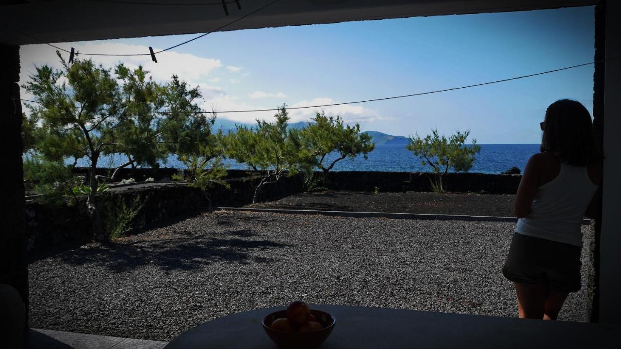 Casa Caminho Da Barca Villa Madalena  Eksteriør bilde