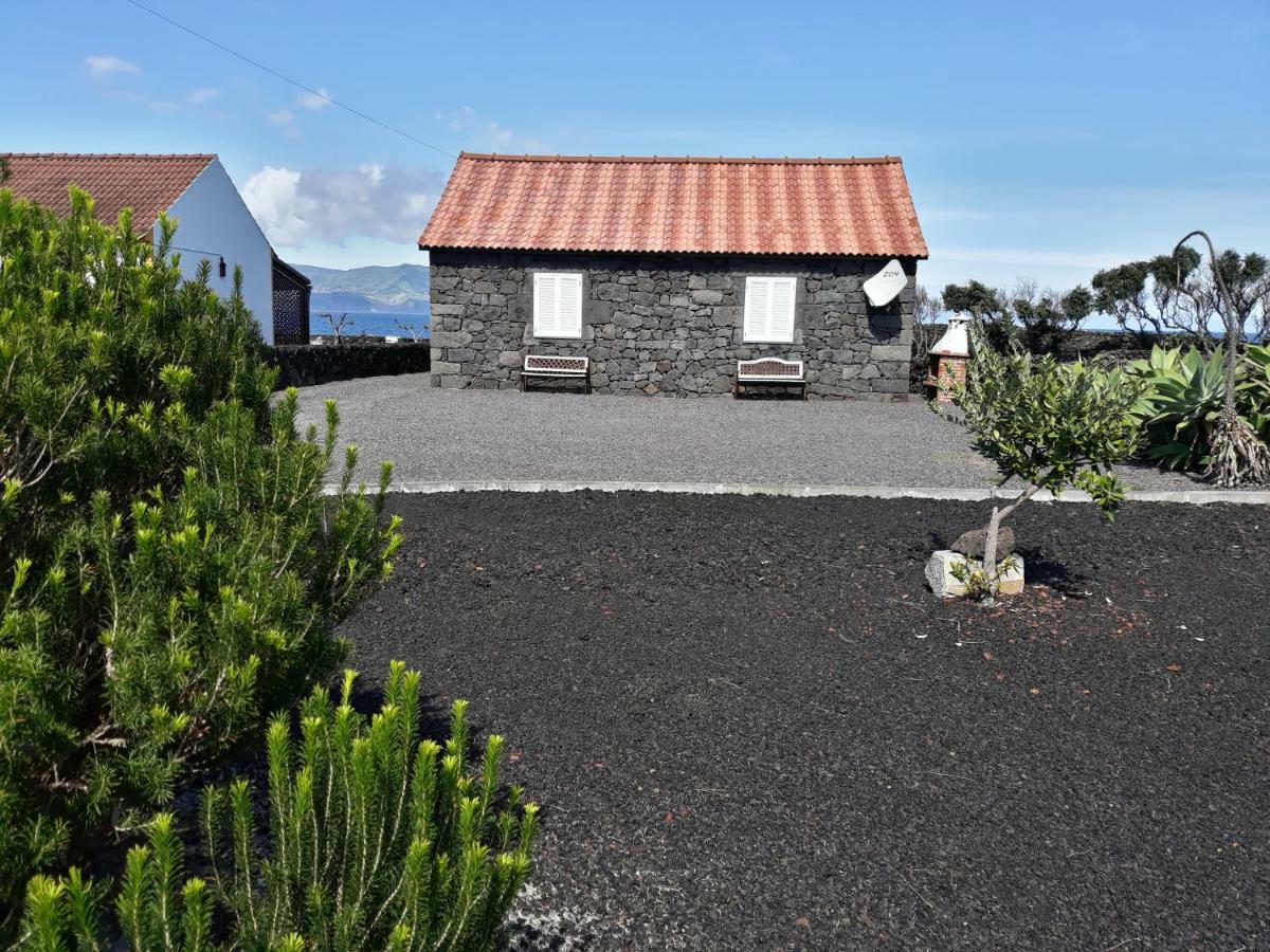 Casa Caminho Da Barca Villa Madalena  Eksteriør bilde